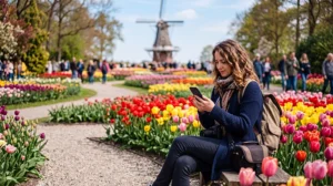 Tourist using mobile internet while visiting the Keukenhof tulip gardens in the Netherlands