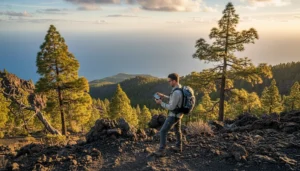 Hiker using mobile data on a smartphone along a volcanic trail in the Canary Islands