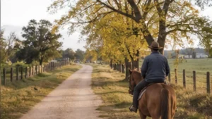 Traveller using a smartphone in Uruguay for colonia carmelo mobile internet
