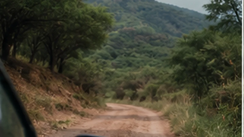 Traveller using a smartphone in El Salvador while researching mobile internet near the el salvador–guatemala border