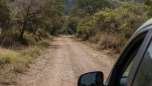 Traveller using a smartphone in El Salvador while researching mobile internet near the el salvador–honduras border