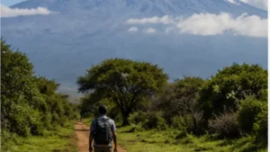 Traveller using mobile internet from Moshi to Mount Kilimanjaro