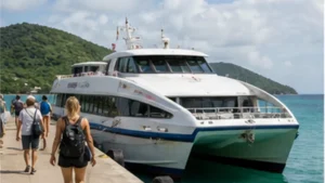 Traveller using a smartphone between Praslin and La Digue