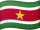 Country Flag of Suriname