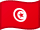 Country Flag of Tunisia